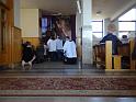 25 mar_WlkPt_DK  _09